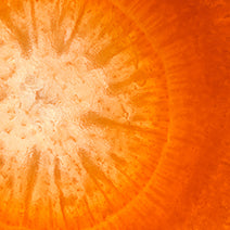 Carrot Seed