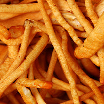 Cordyceps