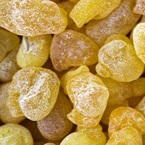 Frankincense Papyrifera