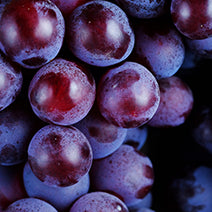 Grapeseed Oil