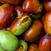 Jojoba Seed Oil