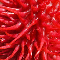 Organic Castor Seed Oil