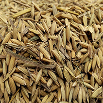 Rice Bran Oil