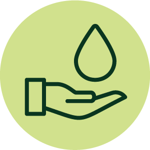 Clean ingredients
